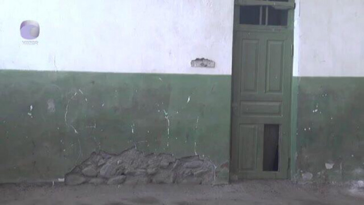 Azərbaycanda məktəb problemi - şagirdlər ilanlarla rastlaşır - VİDEO