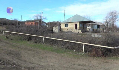 Şəkidə canavarlar sakinlərə hücum etdi - xəsarət alanlar var - VİDEO