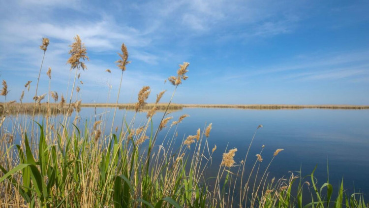 Bu göldə kim çimirsə, rəngi saralır - FOTO