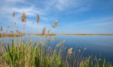 Bu göldə kim çimirsə, rəngi saralır - FOTO
