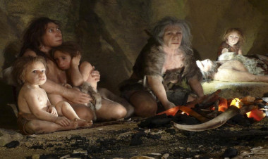 “Neandertallar niyə yox oldu?” sualına yeni cavab