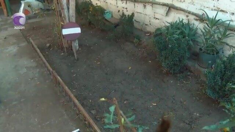 Ərini basdırdığı yerə “giriş qadağandır” nişanı qoydu - VİDEO