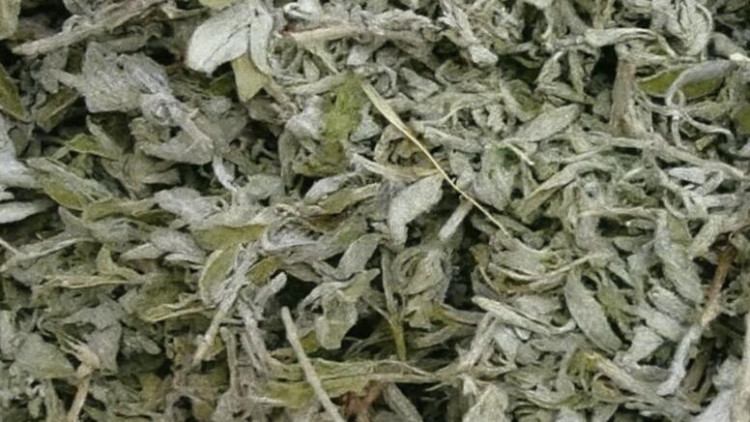 Səhər dəriləndə qiyməti od bahasına olur: Hətta səkidə belə yetişir