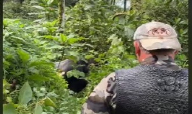 Azərbaycanlı məşhur dəhşətə gəldi - Dünyanın ən təhlükəli canlısı ilə üz-üzə - anbaan VİDEO