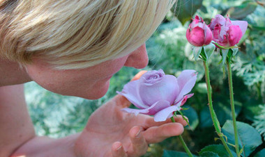 Qoxubilmə hissinin itməsi ciddi xəstəlik xəbərçisidir - Diqqət