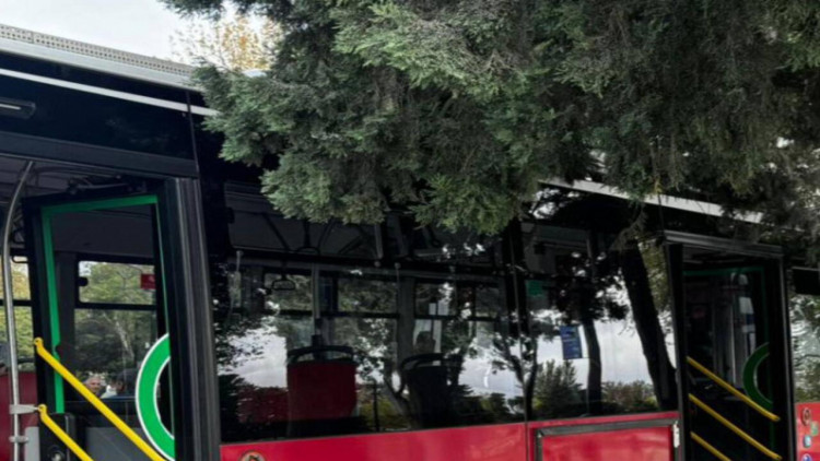 Sürücünün halı qəfil pisləşib, avtobusu dayandıra bilməyib...