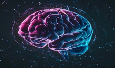 İnsan beyni kompüterdən belə yavaş işləyirmiş - Araşdırma