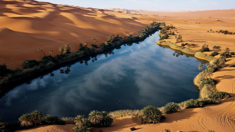 Sahara əsrin sonuna qədər yaşıllaşa bilər: Afrikada “yağış dövrü” başlayacaq