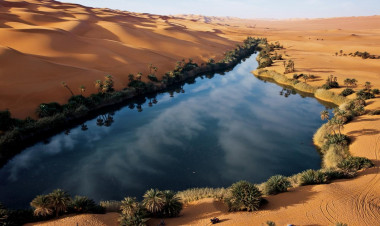 Sahara əsrin sonuna qədər yaşıllaşa bilər: Afrikada “yağış dövrü” başlayacaq