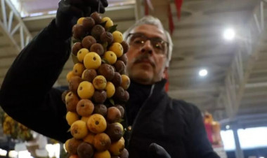 2 ildən bir yetişir, çürüyəndən sonra yeyilir – kilosu 30 manat