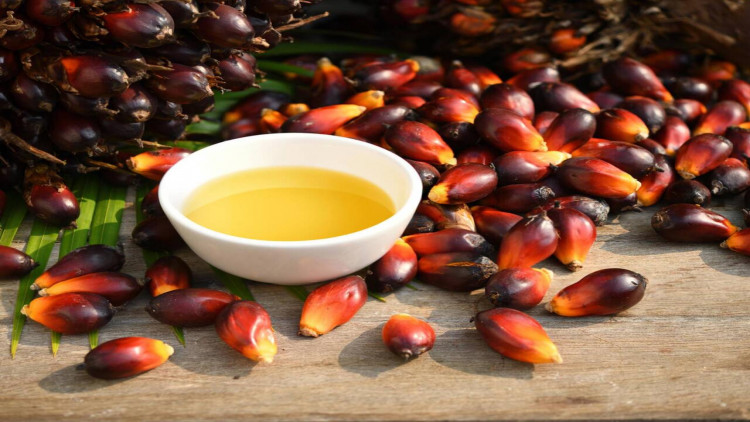 Rusiyada palma yağının istifadəsi qadağan edilir