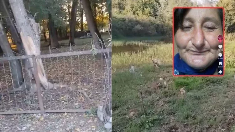 Sosial şəbəkələrdə gündəm olan Qərənfilin iddiaları ilə bağlı RƏSMİ AÇIQLAMA