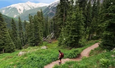 20 dəqiqə belə kifayətdir - Təbiətdə olmağın 4 FAYDASI