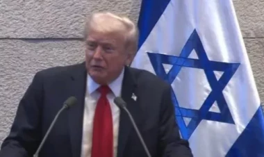 Trampın çıxışı zamanı insident - Zaldan çıxarıldı - VİDEO- FOTO