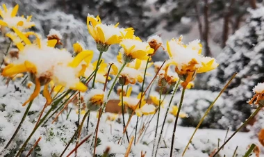 Qar yağıb, 10 dərəcə şaxta olub - FAKTİKİ HAVA