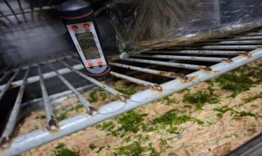 Bəzi keytrinq şirkətləri qida təhlükəsizliyi tələblərinə əməl etmir - XƏBƏRDARLIQ