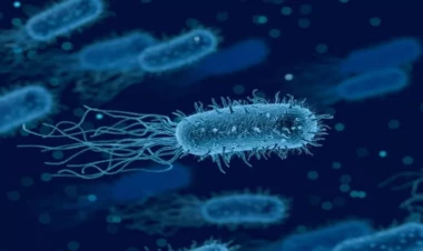 Süni intellekt bakteriyaları öldürən viruslar yaratdı - Tibbdə yeni dövr başlayır