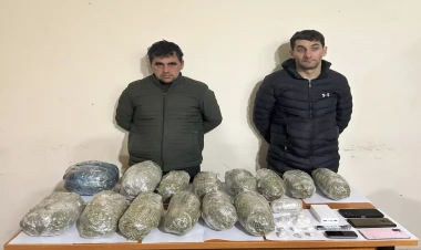 Ötən ilin dekabr ayında 246 kq-dan çox narkotik vasitə qanunsuz dövriyyədən çıxarılıb - DSX