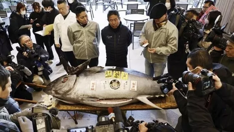 22 milyona balıq satıldı - REKORD