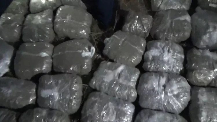 Abşeronda narkotik tədarükçüsü 30 kq marixuana ilə tutulub - VİDEO