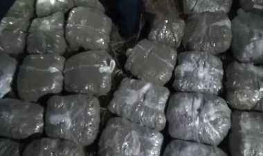 Abşeronda narkotik tədarükçüsü 30 kq marixuana ilə tutulub - VİDEO