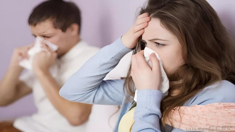 Azərbaycanda yayılan virusla bağlı vacib AÇIQLAMA: 