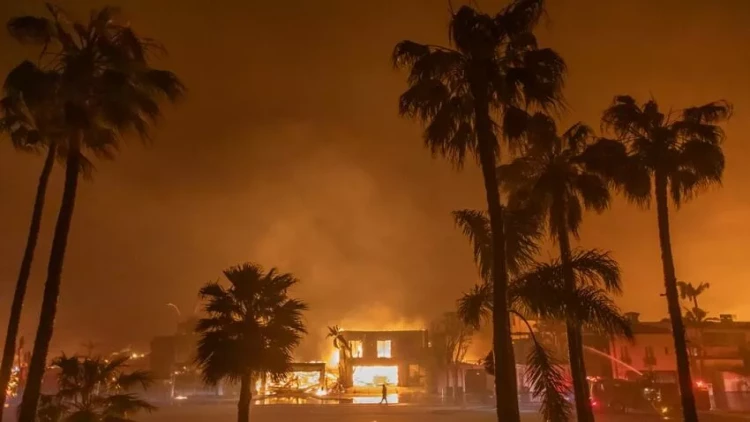 Los-Ancelesdə meşə yanğınları qurbanlarının sayı 7-yə çatdı