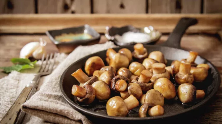 Bəzi göbələklərdə olan zəhərlər, ilan zəhərindən təhlükəlidir?