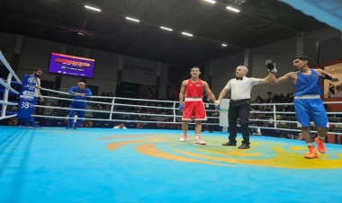 MDB Oyunları: Boksda 4 