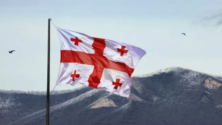 Gürcüstanda yerli seçkilərdə “Gürcü arzusu” liderlik edir