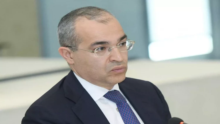 “İqtisadiyyatda 81%  özəl sektorun payıdır” - Nazir