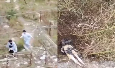 Bakıda qəbirstanlığa cadu basdıran qadınların görüntüləri yayıldı - VİDEO