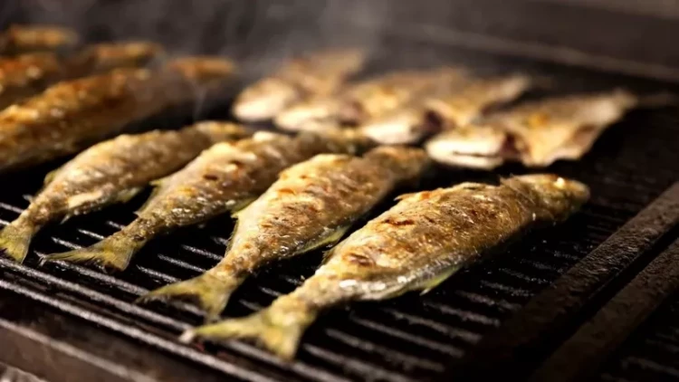 Hansı balıqda sümük daha azdır? - Tanınmış növlər