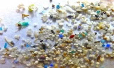 Mikroplastiklər həzm sistemi vasitəsilə qana qarışır, sümüklərdə yığılır - həyəcan təbili