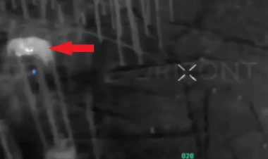 Rusiya dronu bayquş tərəfindən 