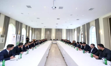 “Regional tərəfdaşların inkişafı” layihəsi çərçivəsində Şəkidə sahibkarlarla görüş keçirilib - FOTO