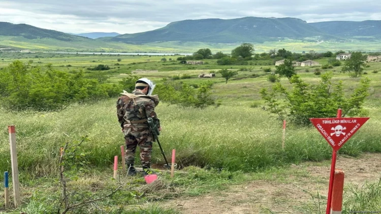 Qazaxın azad edilmiş kəndlərinin nə qədər hissəsi minalardan təmizlənib? - AÇIQLAMA