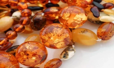 Kəhrəbanın içindən 50 milyon il yaşı olan görün nə çıxdı