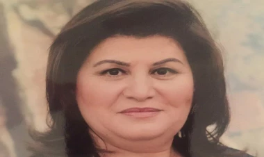 Ziya Məmmədovun bacısı işdən çıxarıldı