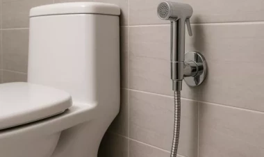 İngilislər buna görə tualet duşu istifadə etmir