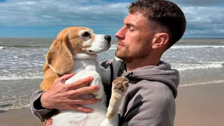 İtini tapana 20 min dollar verəcək