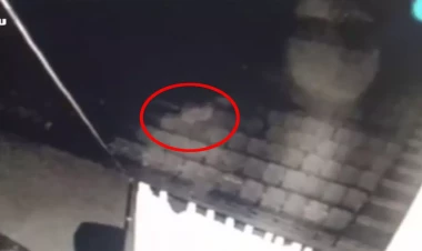 Əyləncə mərkəzində paranormal görüntülər: 