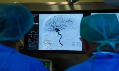 Türkiyədə illər sonra çarəsiz xəstəlik aşkarlandı - İki nəfər yoluxub