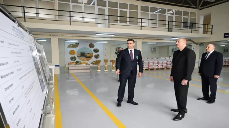 İlham Əliyev Sabirabad Sənaye Məhəlləsində toxum istehsalı müəssisəsinin fəaliyyəti ilə tanış olub - VİDEO - FOTO