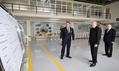 İlham Əliyev Sabirabad Sənaye Məhəlləsində toxum istehsalı müəssisəsinin fəaliyyəti ilə tanış olub - VİDEO - FOTO
