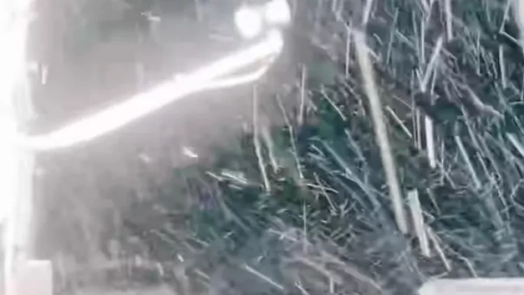 Laçına qar yağır - FOTO