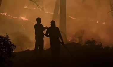 Türkiyədə bu şəxslərə şəhid statusu veriləcək