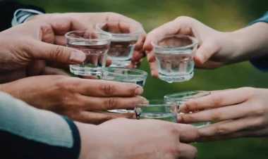 Alimlər alkoqolizmin çarəsini tapdılar: Siçanlar üzərində test edildi, insanlarda yoxlayacaqlar