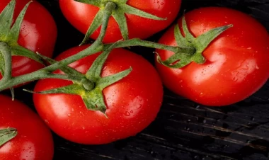 Pomidor ürəyə xeyir imiş