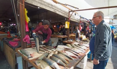 Balıq bazarında son vəziyyət: Kəskin artım var